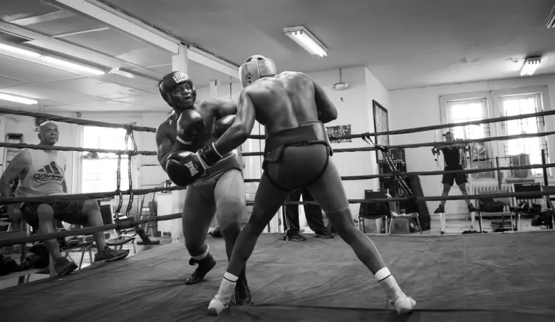 Boxing sparring in the ring